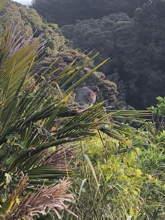 Muriwai Lodge Exteriör bild